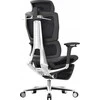 „Spacetronik Office“ ergonominė kėdė TORHILD SPC-TORHILD-01