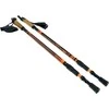 Šiaurietiško ėjimo lazdos Nordic Walking Scout Bjorn oranžinės 3 dalių