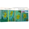 Bkids Morex Mano pasaulis varlė 14874