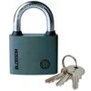 Pakabinama spyna Blossom BC2932
