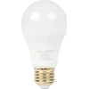 Blow LED lemputė E27 10W A60 230V
