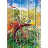 Dėlionė Bluebird Puzzle Paukščiai ant dviračio 1000 vnt.