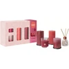 Bolsius Fruit Splash Gift Set Pomegranate