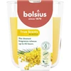 Bolsius „True Scents“ kvapioji žvakė 97 x 85 mm, „Mimosa“