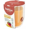 Žvakė, aromatinė Bolsius Happy Mango, 25 h, Oranžinė