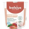Bolsius „True Scents“ kvapioji žvakė „Persikas“, 80 x 73 mm