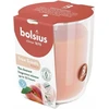 Bolsius „True Scents“ kvapioji žvakė „Persikas“, 80 x 73 mm