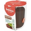 Žvakė, aromatinė Bolsius Calming Oudh, 25 h, Ruda