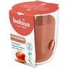 Bolsius „True Scents“ kvapioji žvakė 80x73mm, obuolių ir cinamono skonio