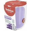 Žvakė, aromatinė Bolsius Relaxing Lavender, 25 h, Violetinė
