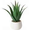 Boltze Dirbtinis alavijo augalas MONDRAGO vazone, 29 cm