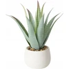 Boltze Dirbtinis alavijo augalas MONDRAGO vazone, 29 cm