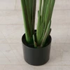 Boltze Dirbtinis augalas bananų medis, aukštis 185 cm