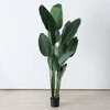 Boltze Dirbtinis augalas bananų medis, aukštis 185 cm