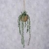 Boltze Dirbtinis kabantis augalas EUKALIPTAS, 78 cm