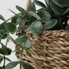 Boltze Dirbtinis kabantis augalas EUKALIPTAS, 78 cm