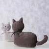 Boltze Kitty durų kamštis, FIDO
