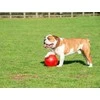 Boomer Ball KUOMIJA RUGSĖJA RUGSĖJA "6" 15cm RUD