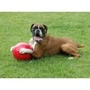 Boomer Ball KUOMIJA RUGSĖJA RUGSĖJA "6" 15cm RUD