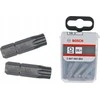 Bosch EXH T40 x 25 mm atsuktuvo antgalis, 25 vnt (2607002802)