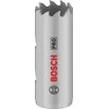 Bosch ĮVAIRIŲ MEDŽIAGŲ PIŽOLĖ 19 MM