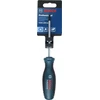 Bosch Atsuktuvas TX20 x 100mm
