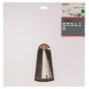 Bosch Disk.pjūkl.diskas 315x30m staklėms