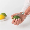 Brabantia Obieraczka su zesterem Tasty+ žalia 122941