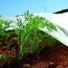Bradas Balta pavasarinė agrotekstilės plėvelė 1,1 x 5 m 17 g AWW1711005