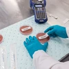 Brady Chemical and Temperature