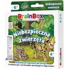 BrainBox: Pocket - Pavojingi gyvūnai REBEL