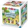 BrainBox – augintiniai REBEL
