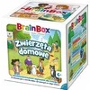 BrainBox – augintiniai REBEL