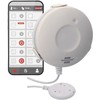Brennenstuhl Zigbee vandens detektorius