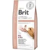 Brit GF Veterinary Diets sausas Maistas šunims Renal 2kg