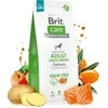 Brit Care GF Adult LB lašiša NEW 12 kg