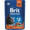 Brit Premium lašiša for Sterilised 100 g