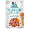 Brit_Care KONS KATĖMS BRITCARE HEALTHY triušiena 85 G
