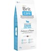 BRIT CARE Dog Junior Large Breed su lašiša ir bulvėmis 12kg