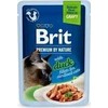Vafo Praha Sro Brit Cat Food antienos filė 85g