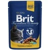 Brit Premium su vištiena ir kalakutiena 100 g