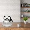 Brunbeste Virdulys plieno su gwizdkiem 2.5L indukcija gaz tradycyjny sidabrinė BRUNBESTE BB-2272