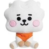 Line Friends BT21 - pliušinis talismanas 20 cm RJ BABY