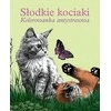 Buchmann Mieli kačiukai. Antistresinis spalvinimo puslapis