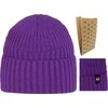 Kepurė Buff Buff Renso Megzta Fleece Hat Beanie 1323366051000 Violetinė Vienas dydis