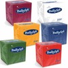 Bulky Soft servetėlės 24x24 cm 2 sluoksnių celiuliozinės žalia (100), žalia (32459)