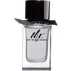 Mr. Burberry EDT tualetinis vanduo vyrams, 150 ml