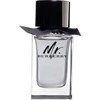 Mr. Burberry EDT tualetinis vanduo vyrams, 50 ml