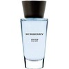 Burberry Touch for Men EDT tualetinis vanduo vyrams, 100 ml
