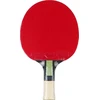 raketė stalo teniso Butterfly Dang Qiu DQX1